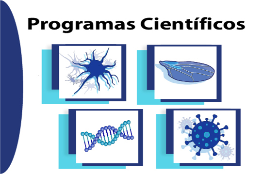 11 Programas Científicos