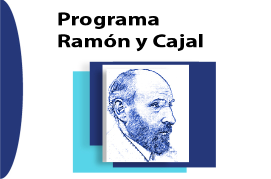 15 Programa Ramón y Cajal