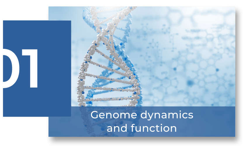 Imagenes web programas