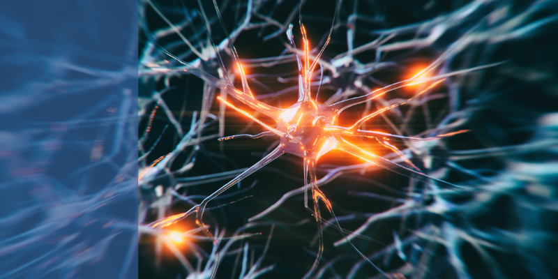 Comunicación intercelular e inflamación