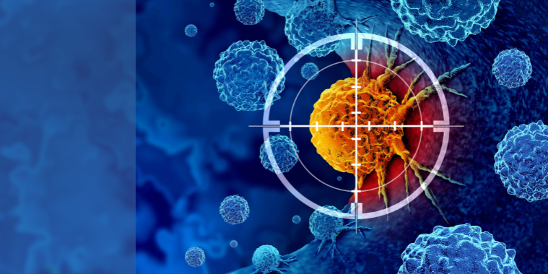 Desarrollo y función del sistema inmunitario Desarrollo y función del sistema inmunitario