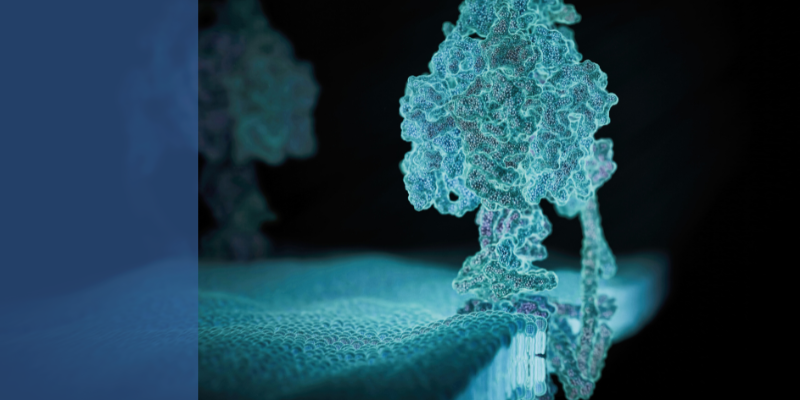 Metabolic and signaling networks in disease