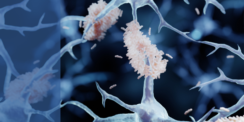 Molecular neuropathology