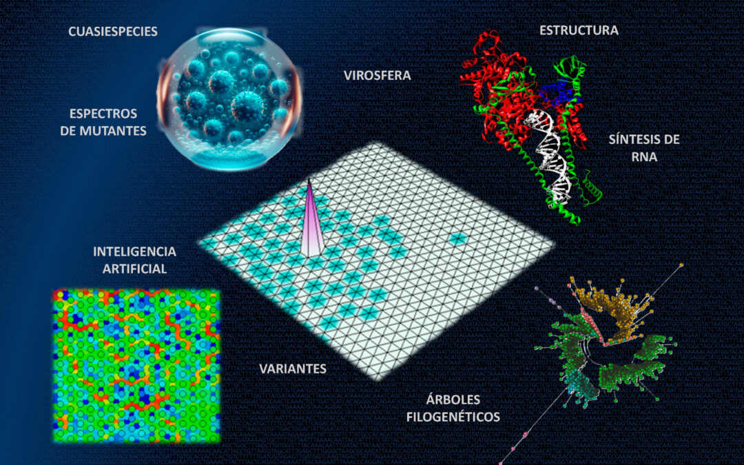 Identifican mutaciones que afectan la multiplicación del virus SARS-CoV-2 con redes neuronales
