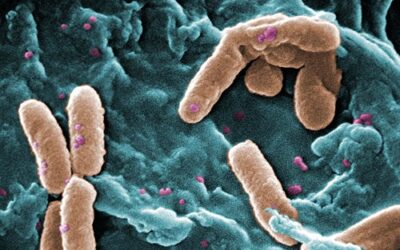 Bacterias capaces de sobrevivir 30 años en agua pesada, un entorno altamente tóxico, redefinen los límites de la vida