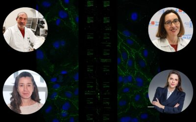 Desarrollan un software de IA para predecir la mortalidad cardiorrenal.