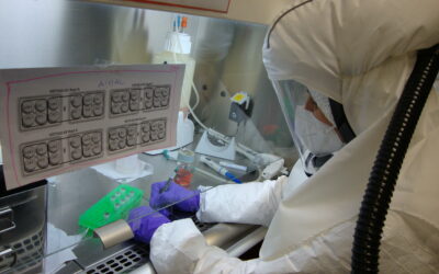 Identifican mutaciones de variantes de SARS-CoV-2 aislado en laboratorio, abriendo vías para mejorar las vacunas
