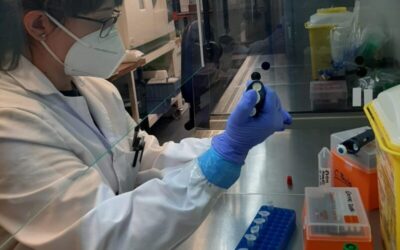 Identifican un nuevo rasgo clave del virus de la COVID-19, que varía durante su adaptación a la población humana