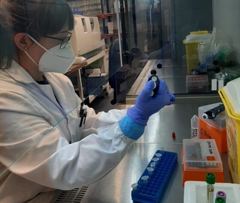 Identifican un nuevo rasgo clave del virus de la COVID-19, que varía durante su adaptación a la población humana