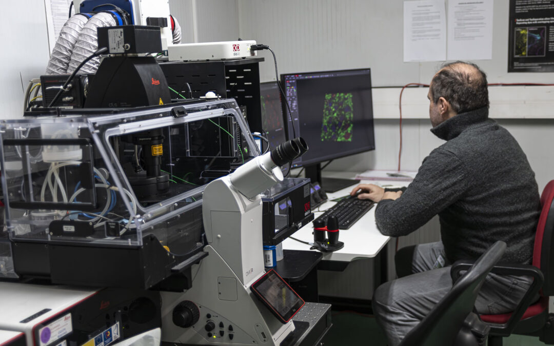 El CBM y el CNB se incorporan a “Euro- BioImaging”, el consorcio europeo de infraestructura en imagen biológica y biomédica