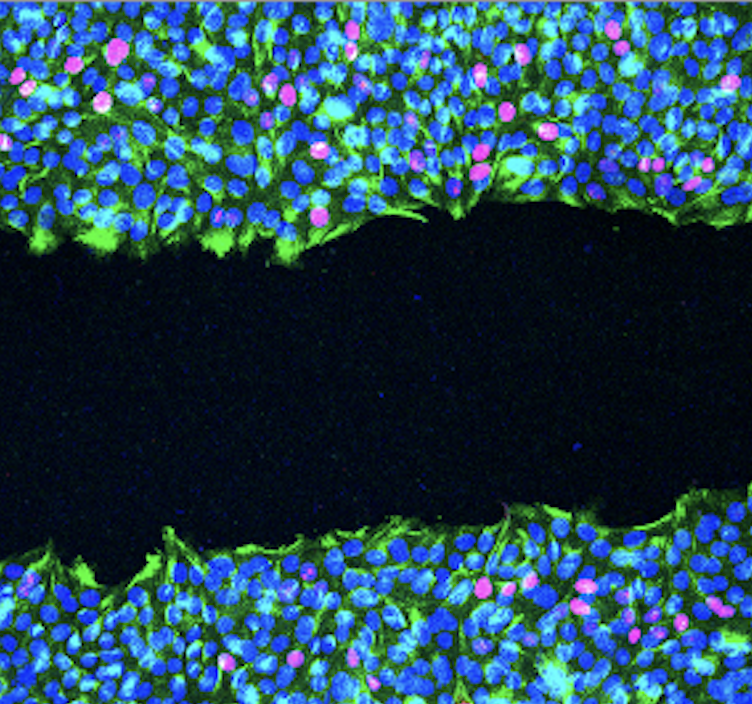 Captura de pantalla 2025-12-02 a las 15.59.35