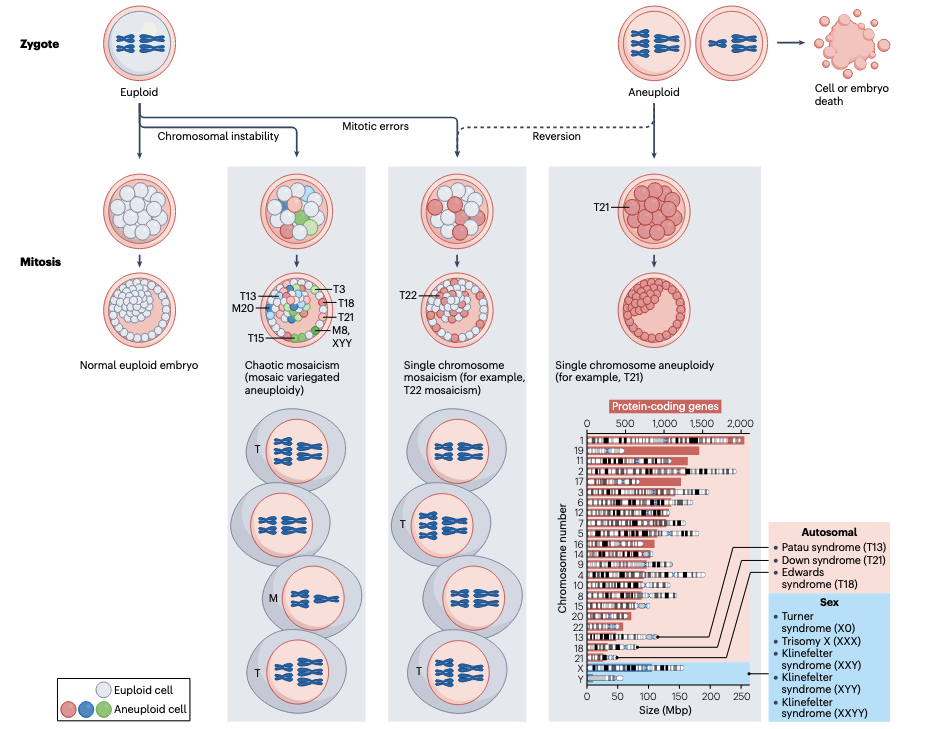 Villarroya Beltri Nat Rev Gen 2024