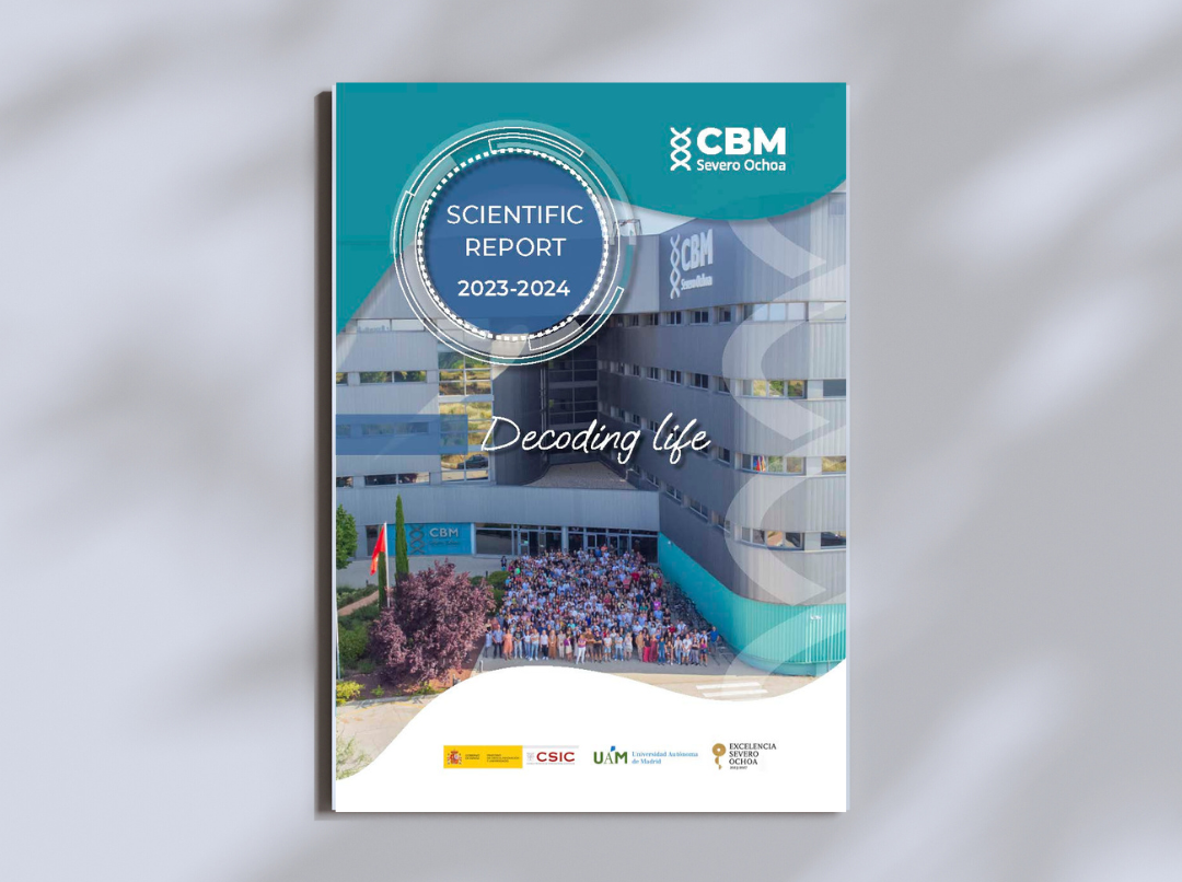 White Simple Poster Mockup Instagram Post