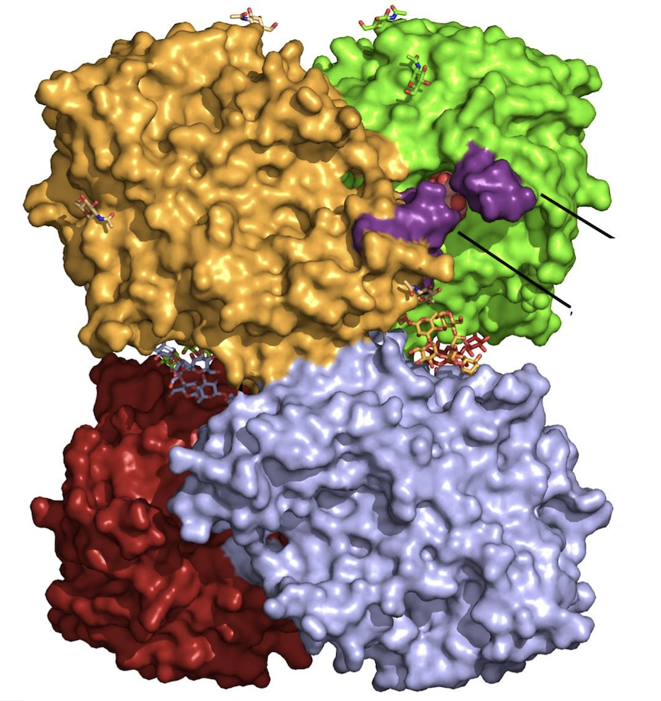 Captura de pantalla 2026-03-09 a las 17.19.28