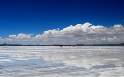 La vida en condiciones imposibles: el ADN de una bacteria extremófila revela sus sorprendentes mecanismos de supervivencia