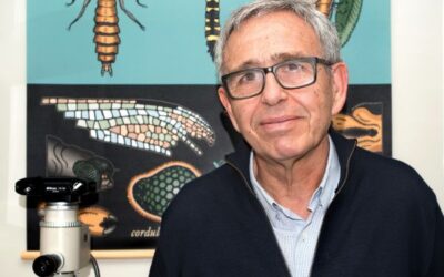 El biólogo Ginés Morata, Medalla Echegaray de la RAC 2025