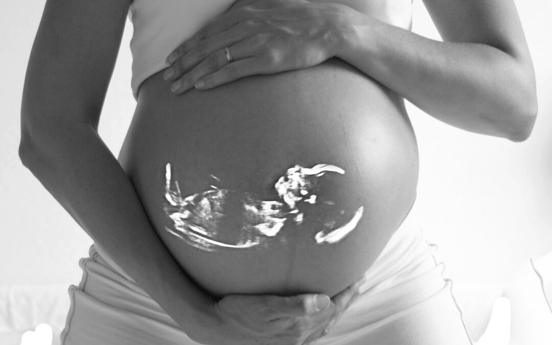 Un mecanismo genético temprano en la formación de la placenta podría explicar una grave complicación del embarazo